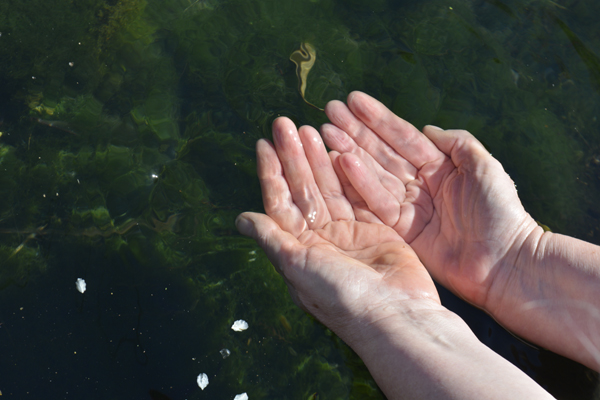 Cally Trench, Hands of Annie Rapstoff under water, 10th March 2019