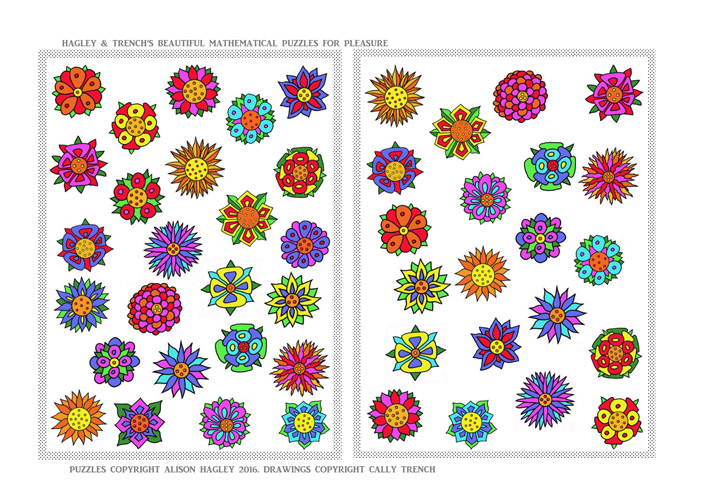 Hagley and Trench's Beautiful Mathematical Puzzles for Pleasure: Flowers Puzzle