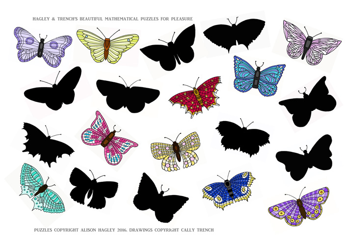 Hagley and Trench's Beautiful Mathematical Puzzles for Pleasure: Butterfly Shadow Puzzle