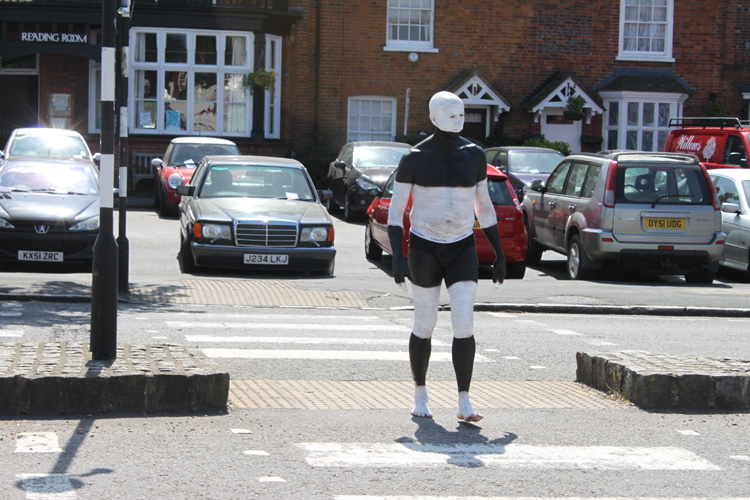 In Praise of Zebra Crossings by Cally Trench, Annie Rapstoff and Philip Lee