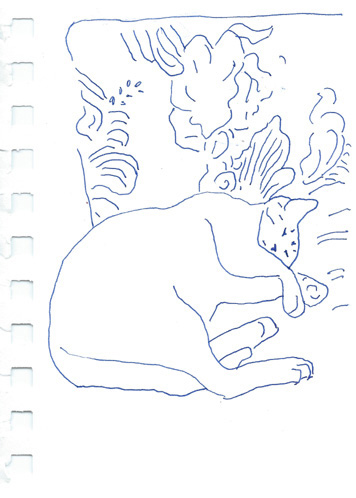 Drawing by Ann Harris