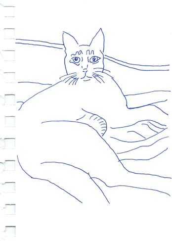 Drawing by Ann Harris