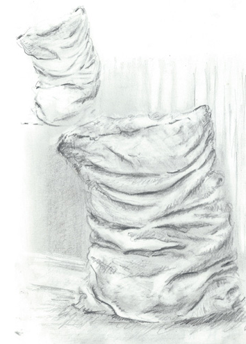 Drawing by Anna Mitchell