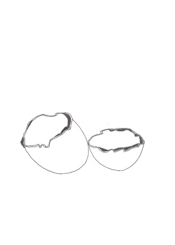 Drawing by Brigitte Ritschard