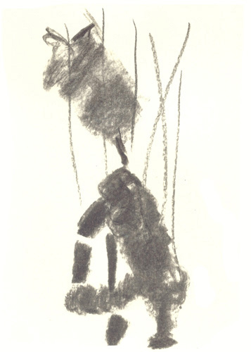 Drawing by Cally Trench