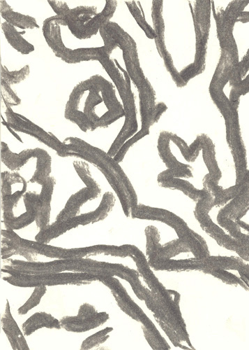 Drawing by Cally Trench