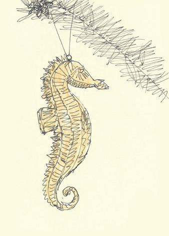 Drawing by Cally Trench