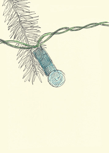 Drawing by Cally Trench