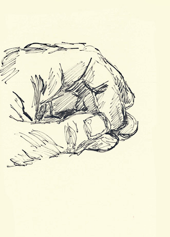 Drawing by Cally Trench