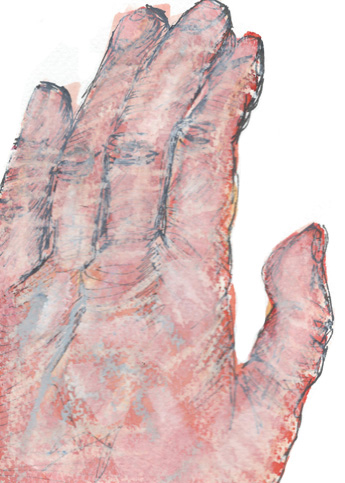 Drawing by Cally Trench