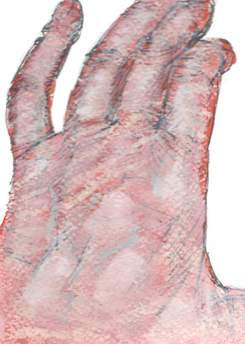 Drawing by Cally Trench