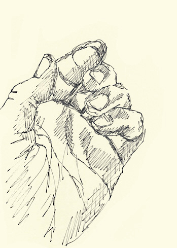 Drawing by Cally Trench