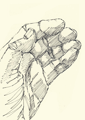 Drawing by Cally Trench