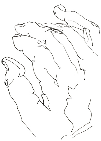 Drawing by Cally Trench