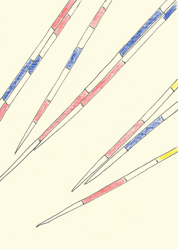 Drawing by Cally Trench