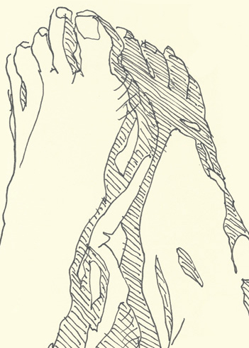 Drawing by Cally Trench