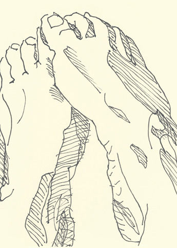 Drawing by Cally Trench