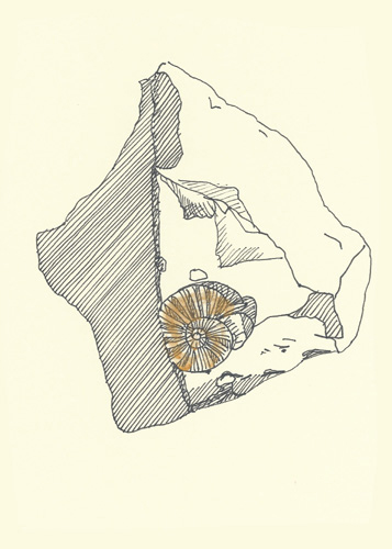 Drawing by Cally Trench