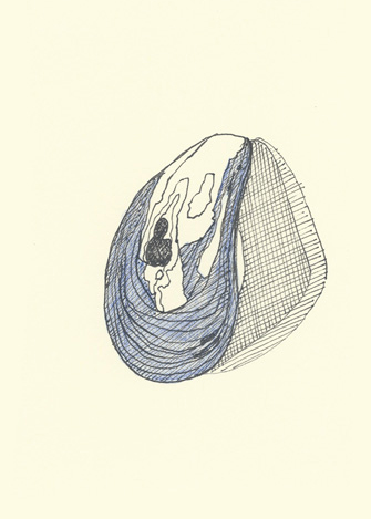 Drawing by Cally Trench