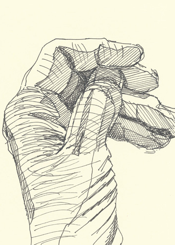 Drawing by Cally Trench