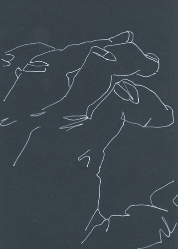 Drawing by Cally Trench