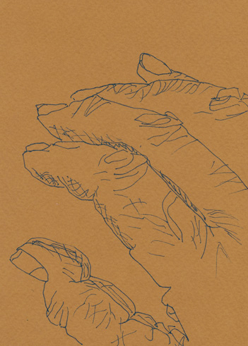 Drawing by Cally Trench