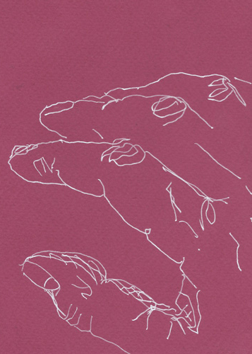 Drawing by Cally Trench