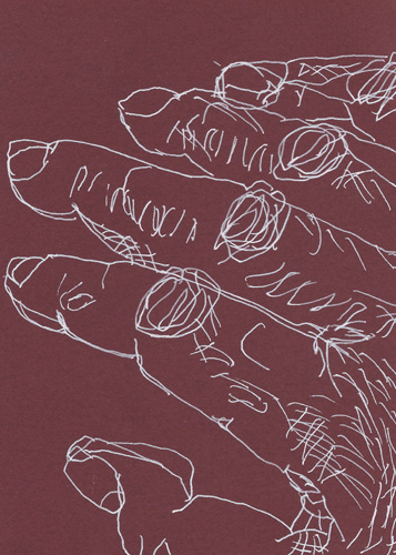 Drawing by Cally Trench