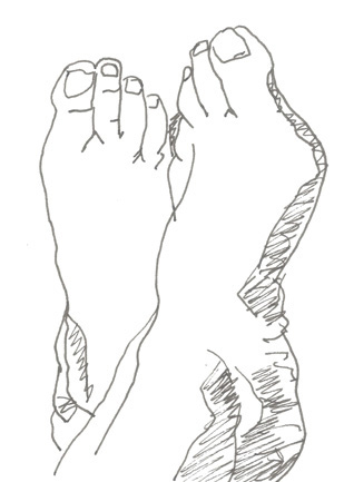 Drawing by Cally Trench