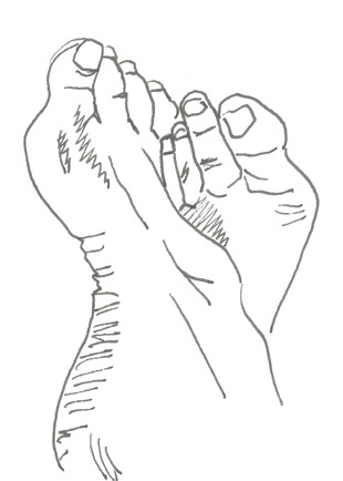 Drawing by Cally Trench