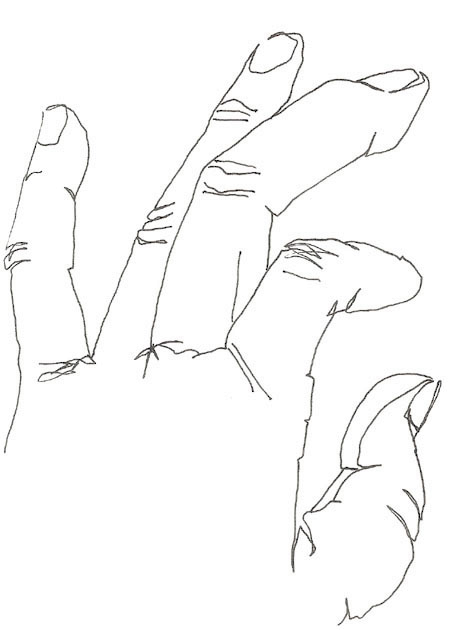 Drawing by Cally Trench