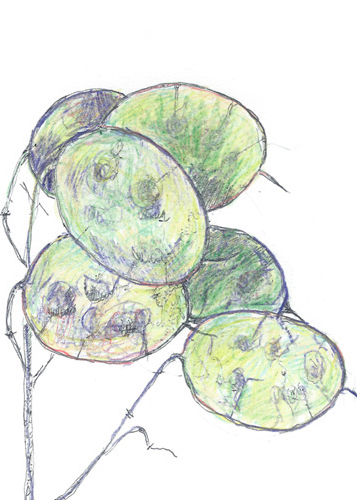 Drawing by Chris Mercier