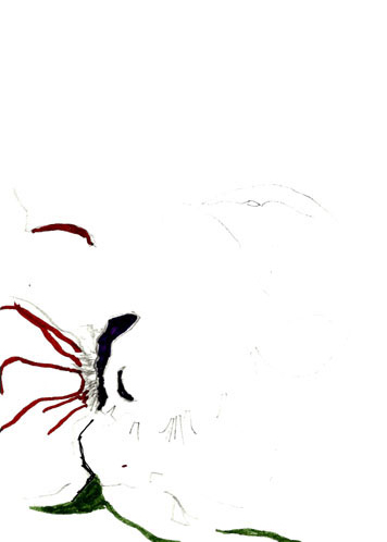 Drawing by Eva Theytaz