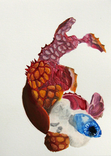 Drawing by Karin Janssen