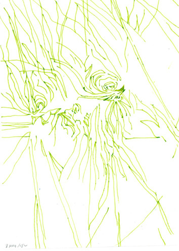 Drawing by Mary Yacoob