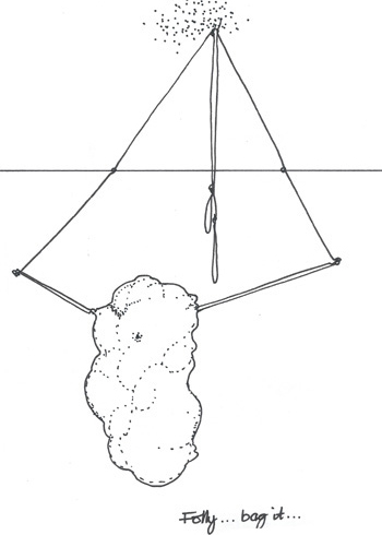 Drawing by Neil Ferguson