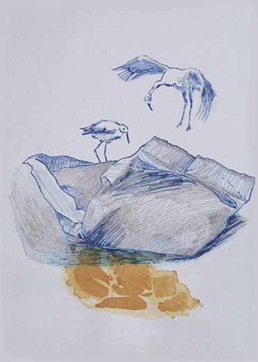 Drawing by Neile Wright