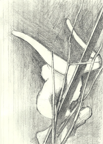 Drawing by Patrick Jeffs