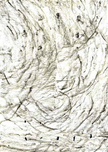 Drawing by Polly Binns