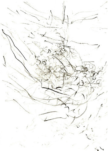 Drawing by Polly Binns