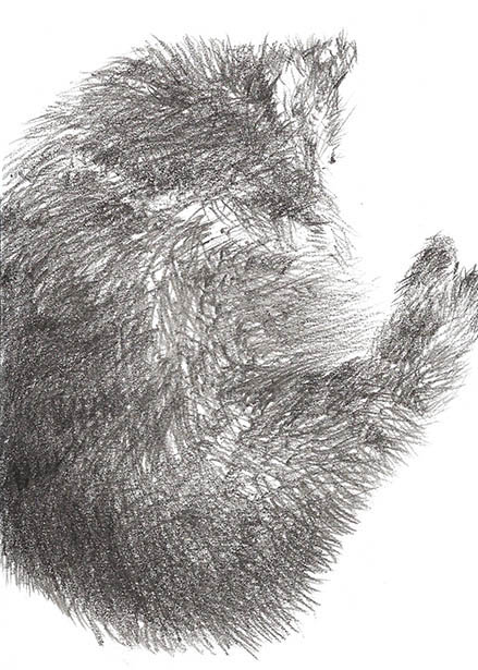 Drawing by Tineke Bruijnzeels