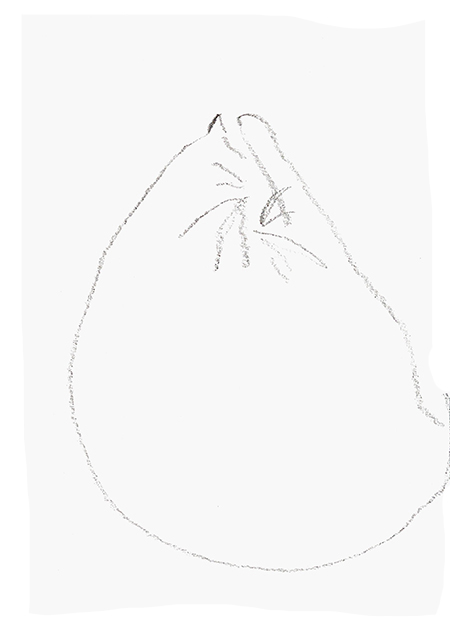 Drawing by Tineke Bruijnzeels