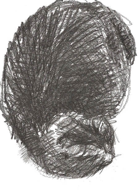 Drawing by Tineke Bruijnzeels