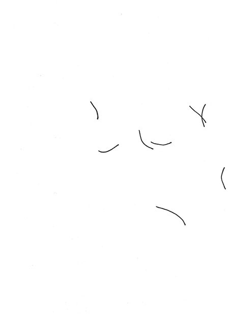 Drawing by Tineke Bruijnzeels