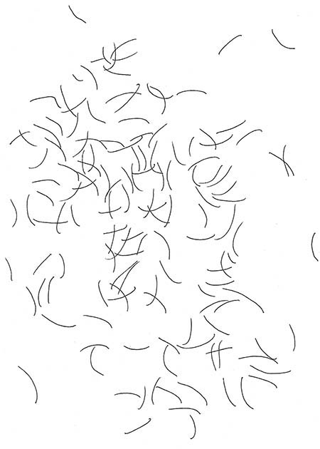 Drawing by Tineke Bruijnzeels