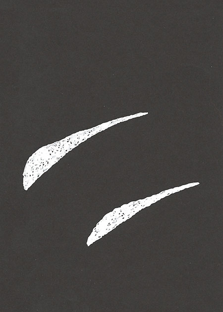 Drawing by Tineke Bruijnzeels