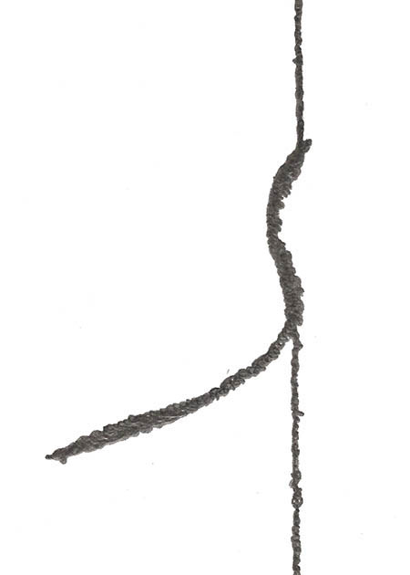 Drawing by Tineke Bruijnzeels