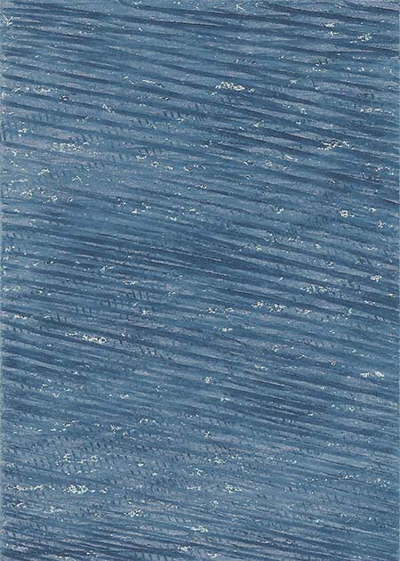 Drawing by Tineke Bruijnzeels