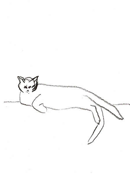 Drawing by Tineke Bruijnzeels