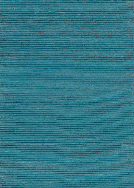 Drawing by Tineke Bruijnzeels